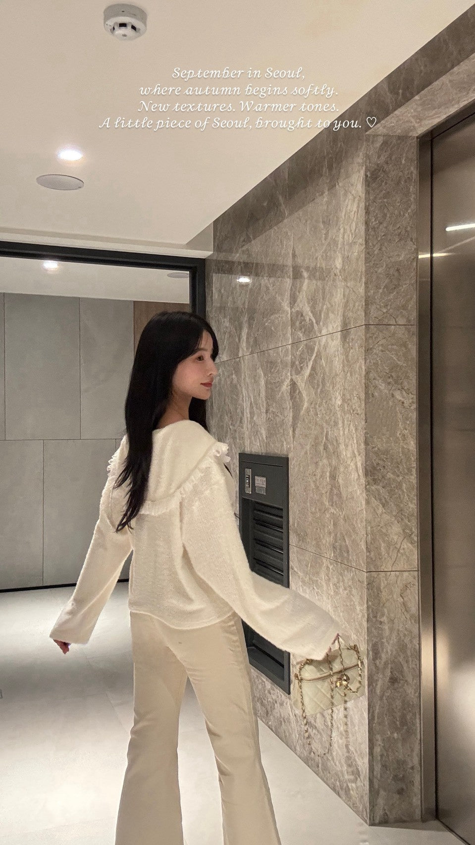 仙女蕾絲翻領罩衫